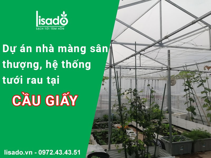 Dự án nhà màng sân thượng, hệ thống tưới rau tại Cầu giấy