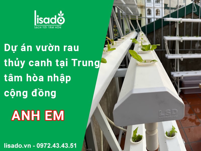 Dự án tại trung tâm hoà nhập cộng đồng Anh Em