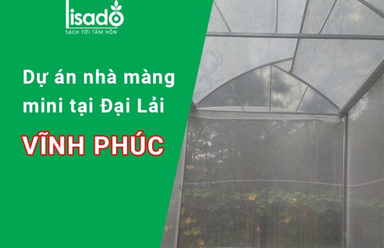 Dự án thi công nhà màng mini 1 nóc hở tại Đại Lải Vĩnh Phúc