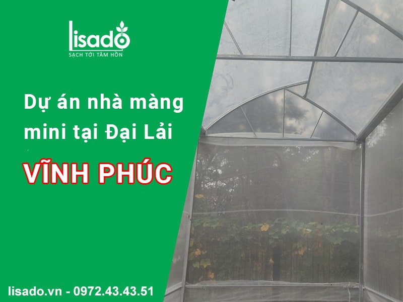 Dự án thi công nhà màng mini 1 nóc hở tại Đại Lải Vĩnh Phúc