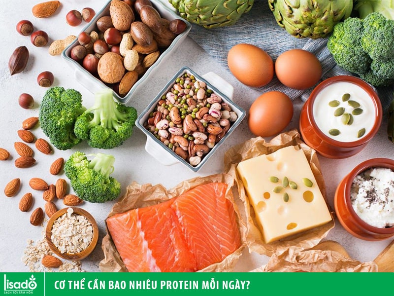 Cơ thể cần bao nhiêu protein mỗi ngày?