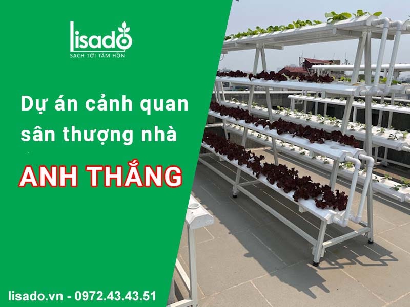 Dự án cảnh quan sân thượng nhà Anh Thắng - Trần Quang Diệu