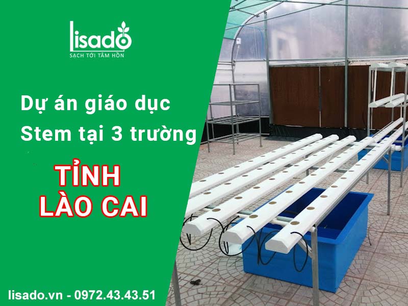 Dự án giáo dục Stem tại 3 trường tỉnh Lào Cai