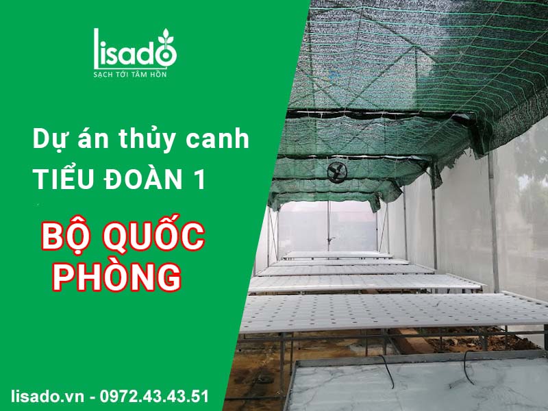 Dự án rau sạch thuỷ canh tại Tiểu Đoàn 1 - Bộ Quốc Phòng