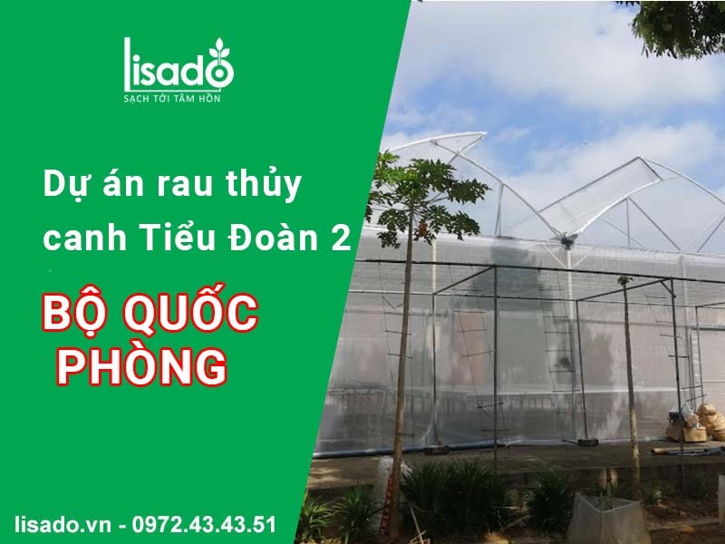 Dự án rau thuỷ canh tại Tiểu Đoàn 2 - Bộ Quốc Phòng