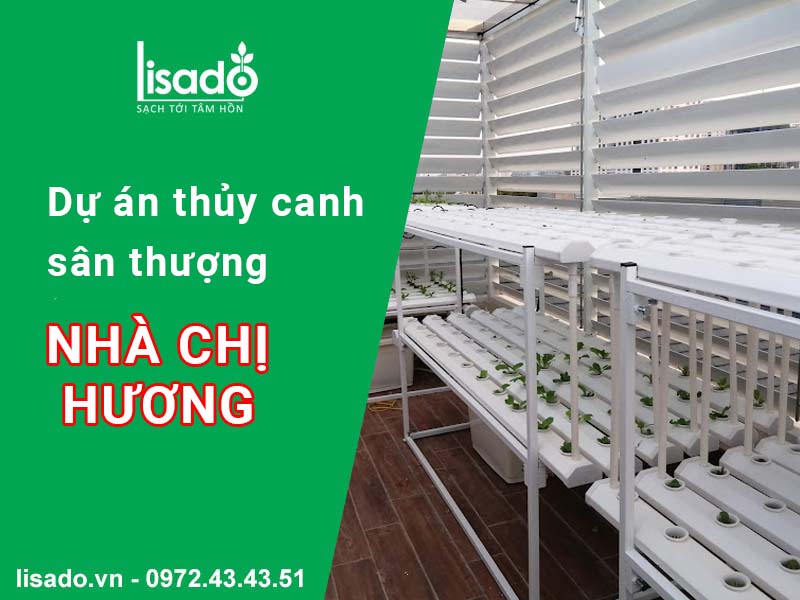 Mô hình thuỷ canh sân thượng nhà chị Hương - GreenBay