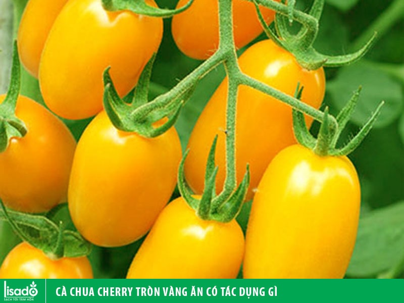 Cà chua cherry tròn vàng ăn có tác dụng gì?