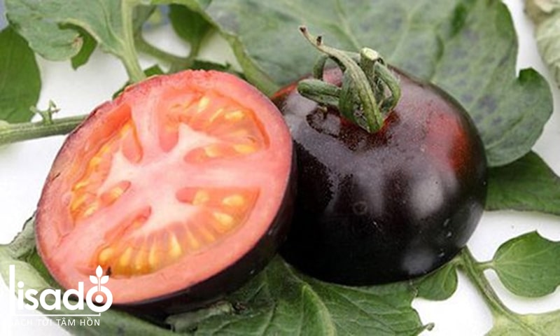 Cà chua đen lai giữa tím và đỏ