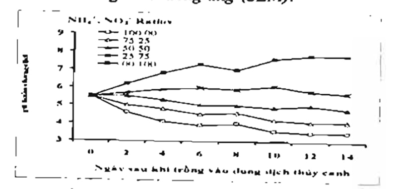 Ảnh hưởng của tỷ lệ Nh4+/NO3- đến pH của dung dich khi không điều chỉnh pH dung dịch