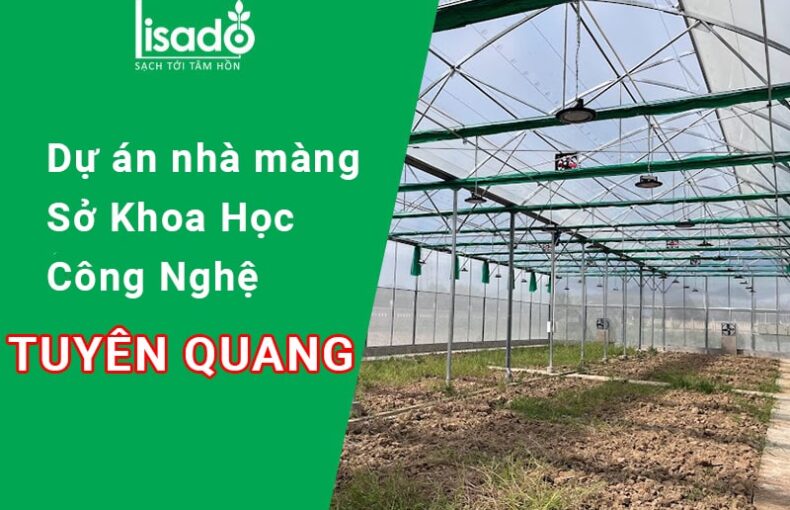 Dự án nhà màng tại Sở Khoa Học Công Nghệ tỉnh Tuyên Quang