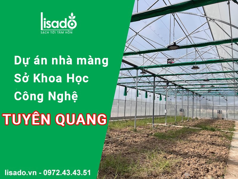 Dự án nhà màng tại Sở Khoa Học Công Nghệ tỉnh Tuyên Quang