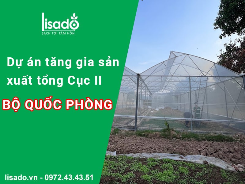 Dự án Tăng gia sản xuất tập trung thuộc tổng cục II, Bộ Quốc Phòng