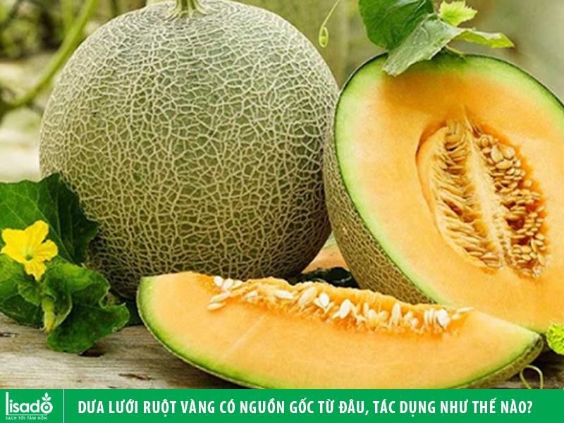 Dưa lưới ruột vàng có nguồn gốc từ đâu, tác dụng như thế nào?