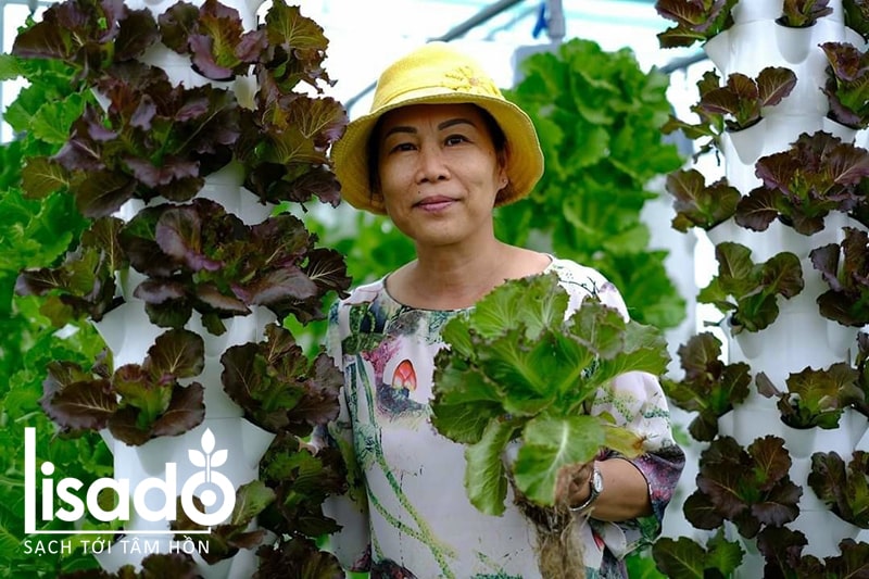 Mùa xuân là thời điểm thích hợp để trồng nhiều loại rau