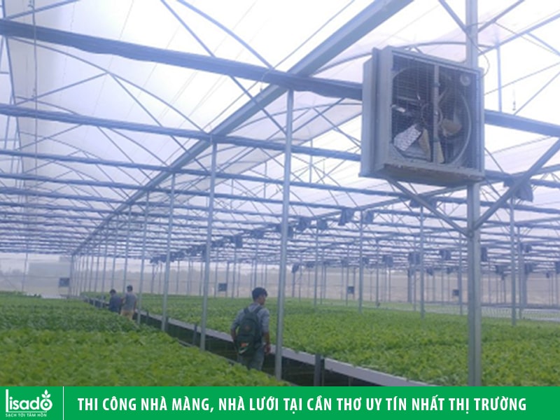 Thi công nhà màng, nhà lưới tại Cần Thơ uy tín nhất thị trường