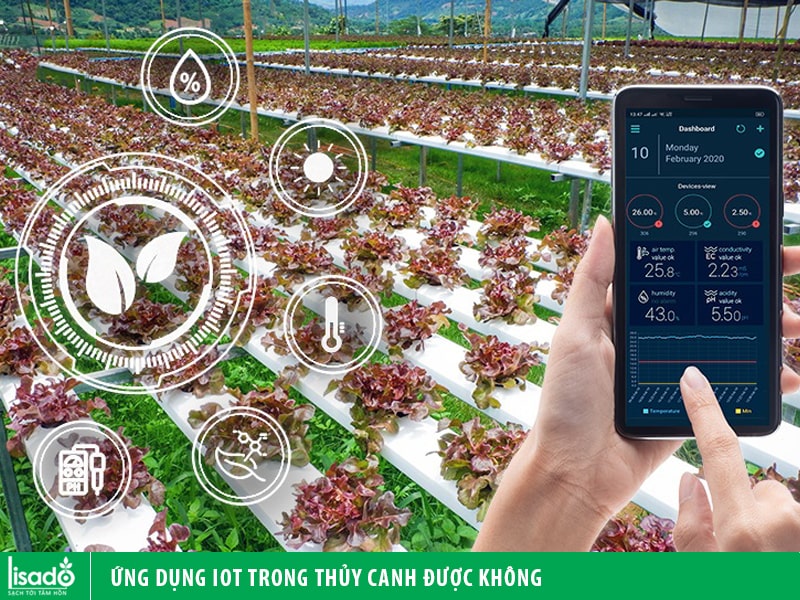 Ứng dụng IOT trong thủy canh được không, vì sao nên IOT trong nông nghiệp