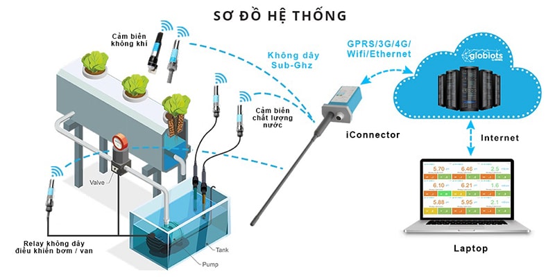 iot nông nghiệp