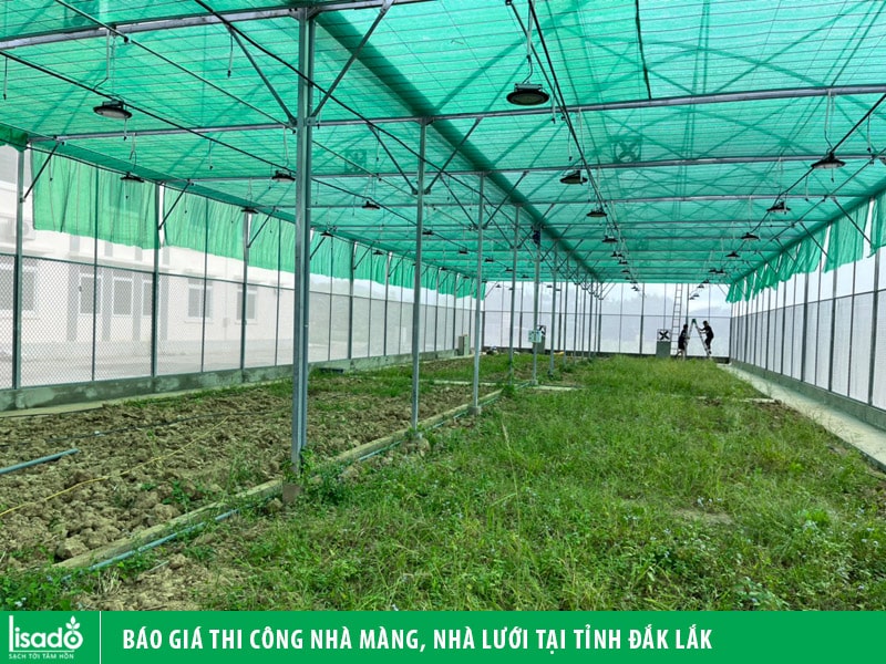 Báo giá thi công nhà màng, nhà lưới tại tỉnh Đắk Lắk