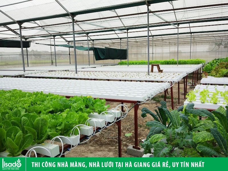 Thi công nhà màng, nhà lưới tại Hà Giang giá rẻ, uy tín nhất