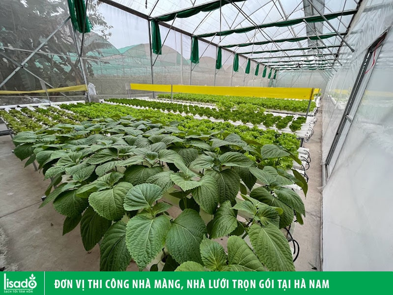 Đơn vị thi công nhà màng, nhà lưới trọn gói tại Hà Nam