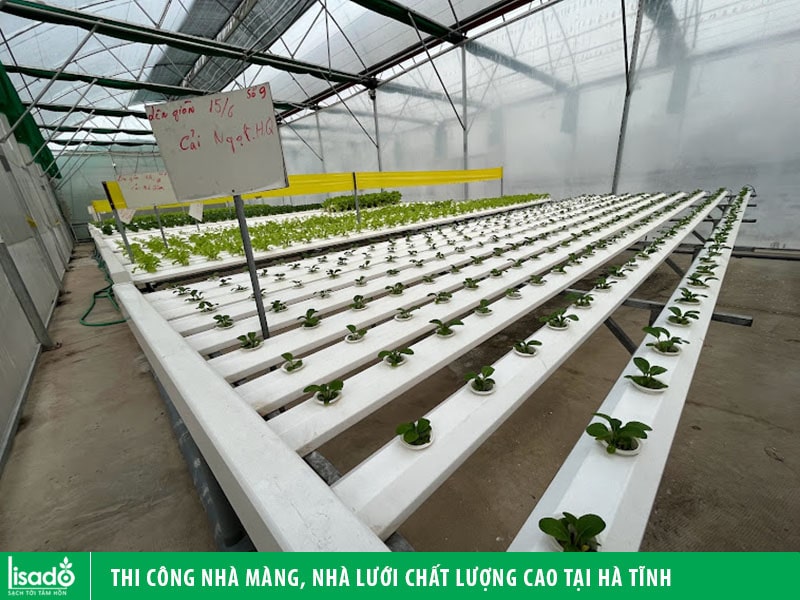 Thi công nhà màng, nhà lưới chất lượng cao tại Hà Tĩnh