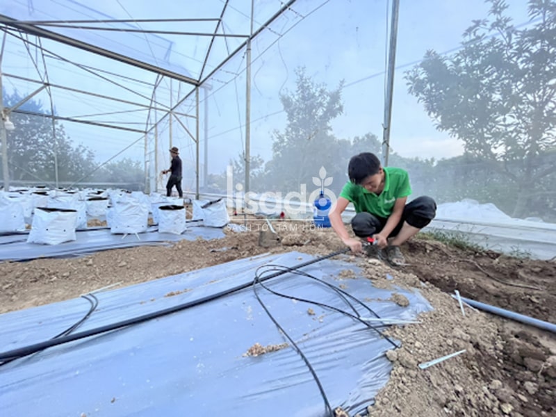 Sử dụng nhà kính trong phát triển nông nghiệp Sử dụng nhà kính trong phát triển nông nghiệp