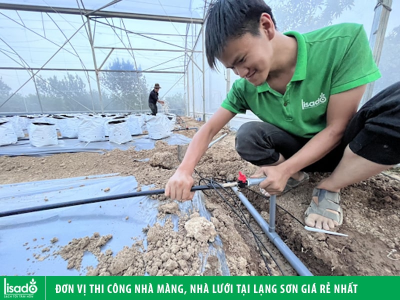 Đơn vị thi công nhà màng, nhà lưới tại Lạng Sơn giá rẻ nhất