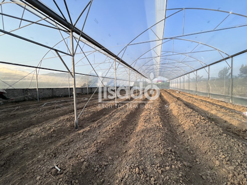 Hệ thống nhà màng nông nghiệp của Lisado