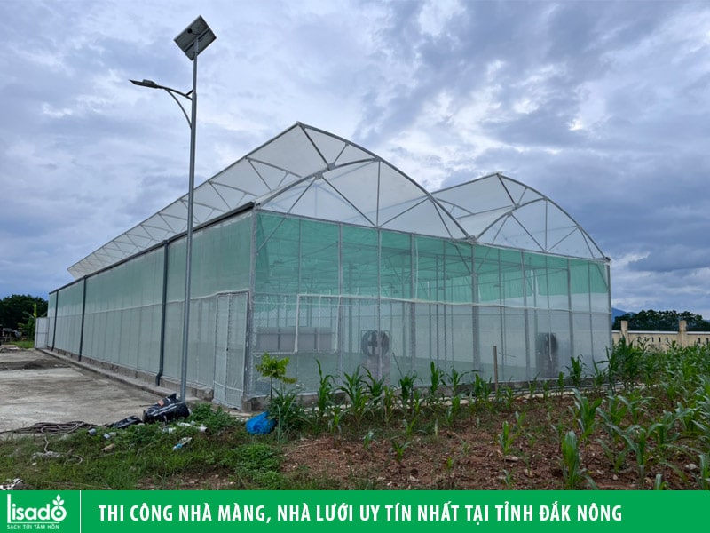 Thi công nhà màng, nhà lưới uy tín, chất lượng nhất tại tỉnh Đắk Nông