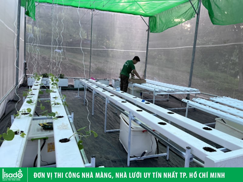 Đơn vị thi công nhà màng, nhà lưới uy tín nhất thành phố Hồ Chí Minh