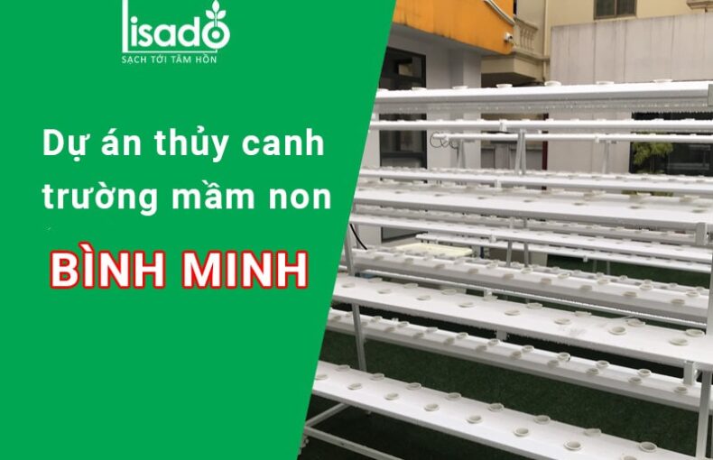 Dự án thủy canh tại trường mầm non Bình Minh tại Tây Hồ, Hà Nội