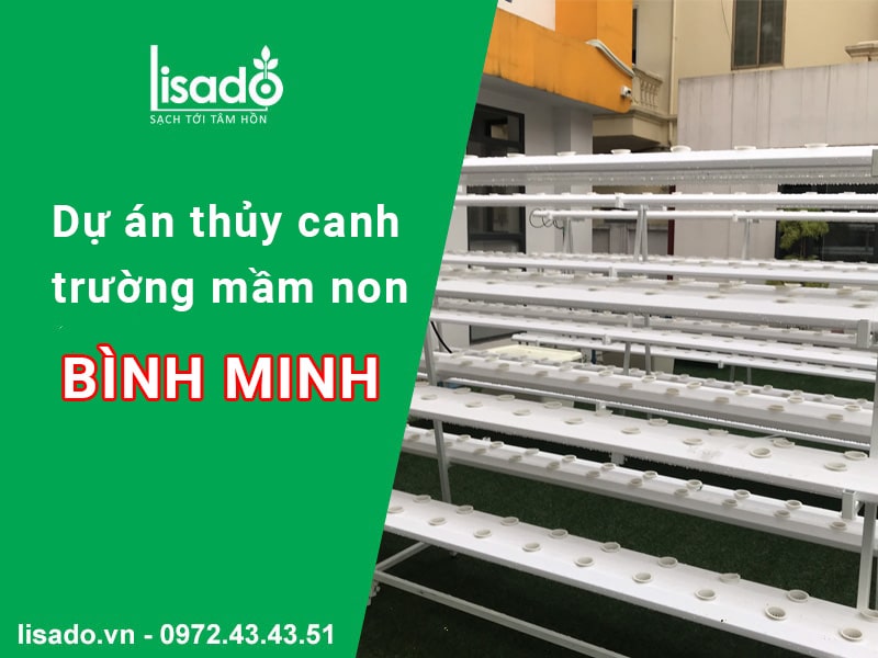 Dự án thủy canh tại trường mầm non Bình Minh tại Tây Hồ, Hà Nội