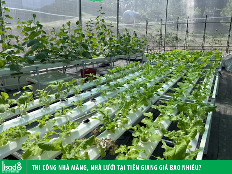 Thi công nhà màng, nhà lưới tại Tiền Giang giá bao nhiêu?