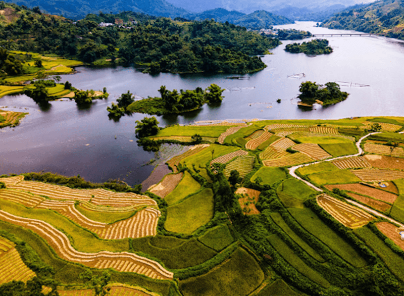 Tuyên Quang có nhiều tiềm năng phát triển nông nghiệp công nghệ cao