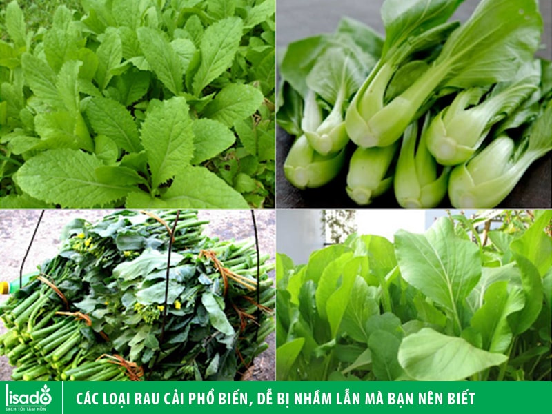 Các loại rau cải phổ biến, dễ bị nhầm lẫn mà bạn nên biết