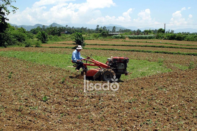 Cày ải phơi đất