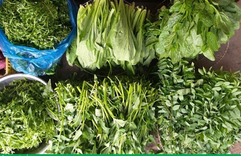 Điểm danh những loại rau dài ngày trồng một lần ăn cả năm