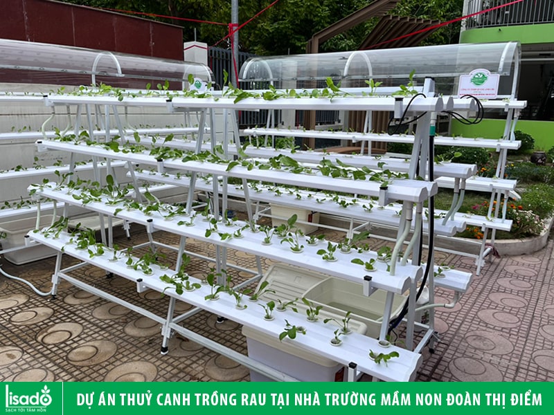 Dự án thuỷ canh trồng rau tại nhà trường Mầm non Đoàn Thị Điểm