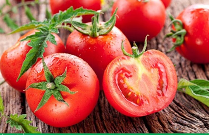 Cà chua giá bao nhiêu 1kg trên thị trường?