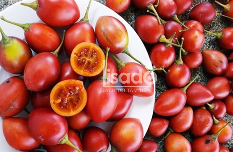 Cà chua thân gỗ đỏ