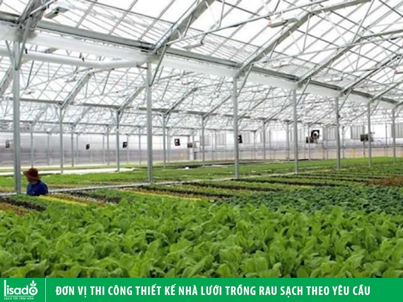 Ưu điểm khi trồng rau sạch trong nhà lưới chống muỗi  Dungluoicom
