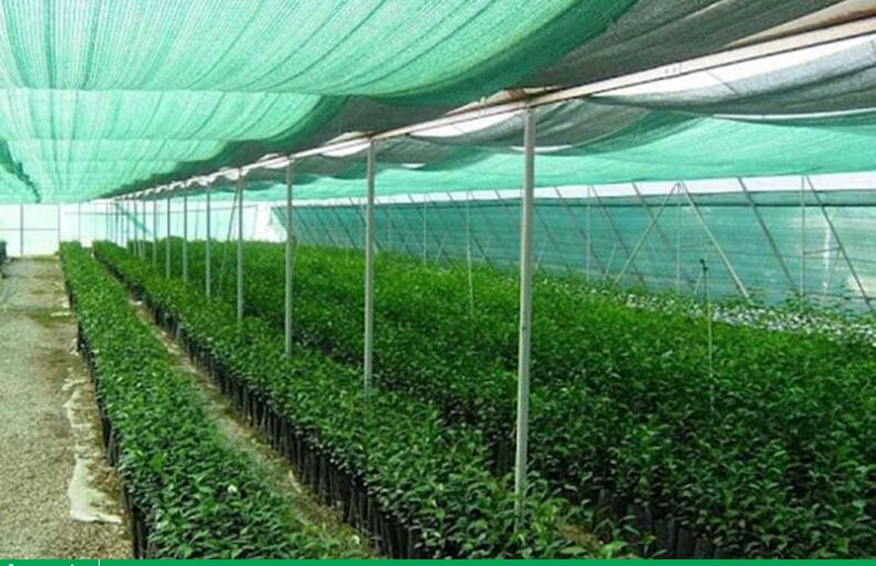 Chia sẻ với hơn 95 mô hình trang trại 2000m2 tuyệt vời nhất Eteachers #5 Chia sẻ với hơn 95 mô hình trang trại 2000m2 tuyệt vời nhất Eteachers