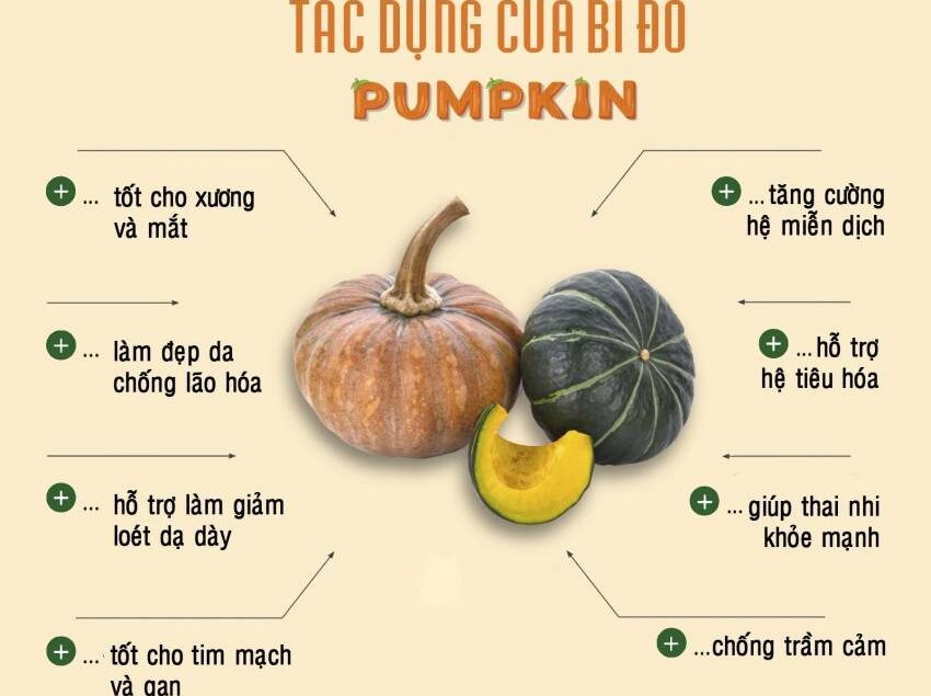 tac-dung-cua-bi-ngo (2)