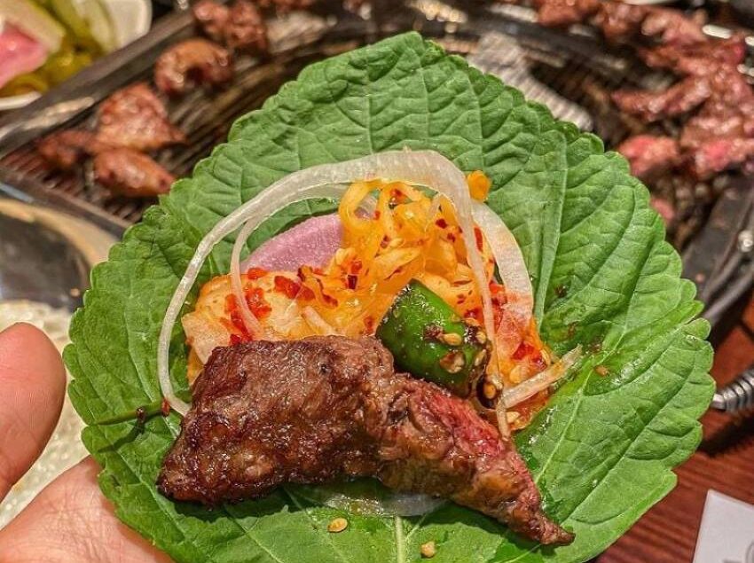 ba-bau-an-duoc-la-vung-han-quoc-khong (4)