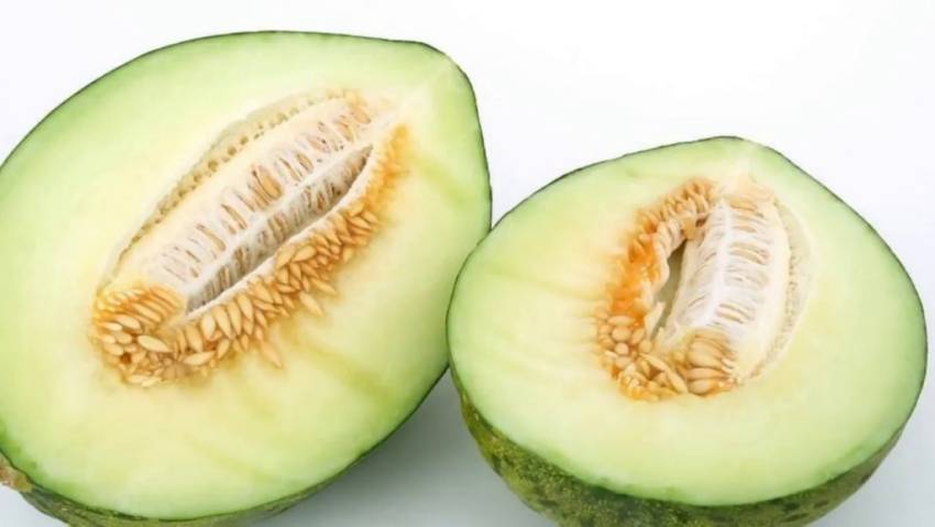 dưa lưới và dưa gang có giống nhau không