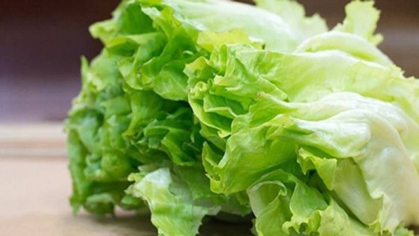 món ngon với rau xà lách