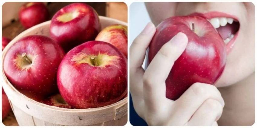 ăn táo mỗi ngày có tốt không